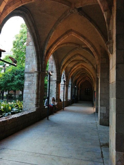 Discover the Beauty & History of Raval Area From Ixc. to Now - Booking Information