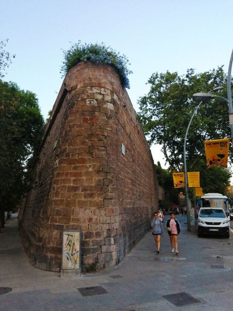 Discover the Beauty & History of Raval Area From Ixc. to Now - Things To Know