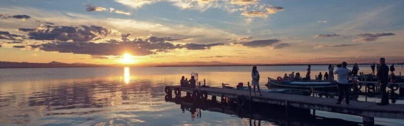 Discover the Devesa and the Albufera: Guided tour - Discover the Devesa and the Albufera: Guided Tour – An Authentic Nature Escape