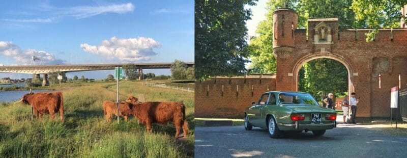 Discover the Dutch Countryside: Car Tour with Local Expert - Discover the Dutch Countryside: Car Tour with Local Expert — An In-Depth Review