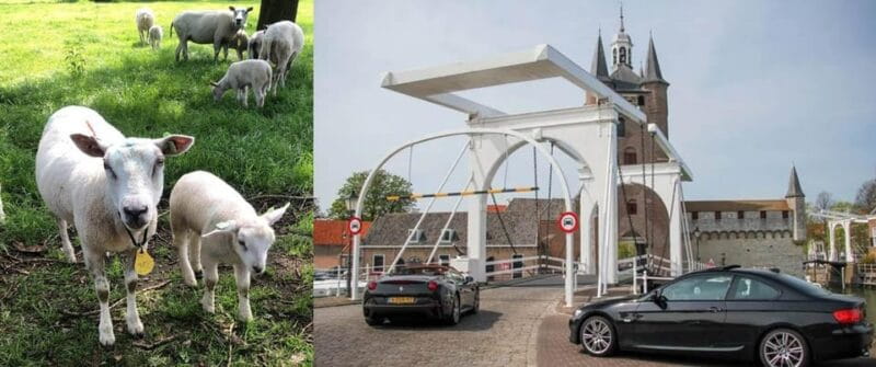 Discover the Dutch Countryside: Car Tour with Local Expert - Key Points / Takeaways