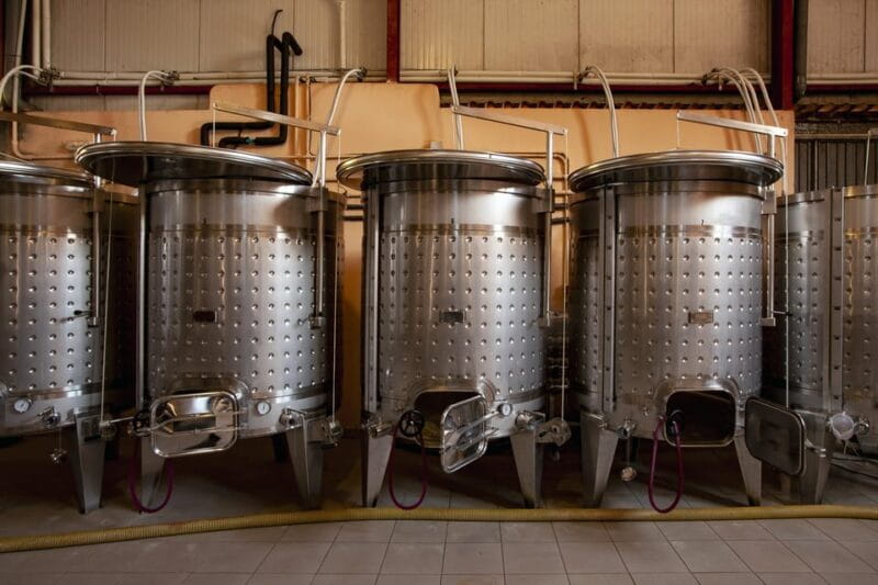 Discover the Essence of Ibizas rich wine culture - Key points / Takeaways