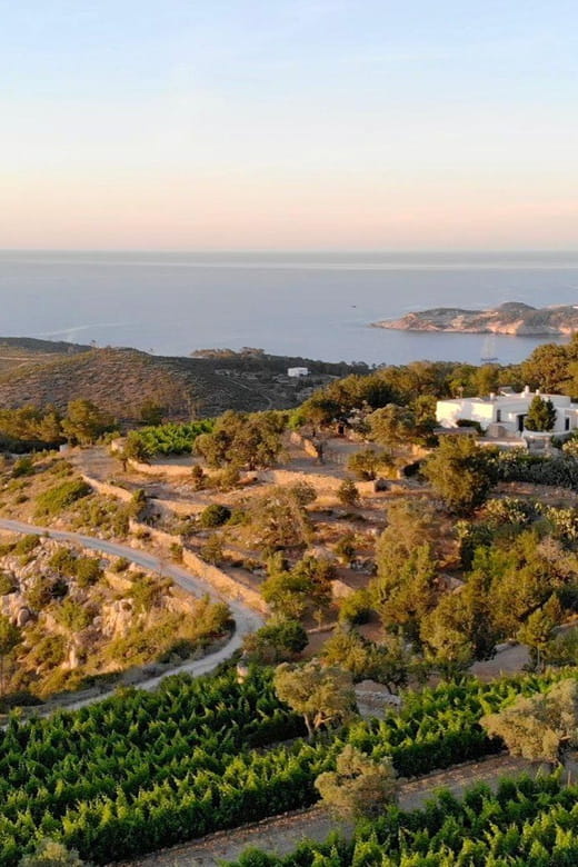 Discover the Essence of Ibizas rich wine culture - Price and Practical Considerations