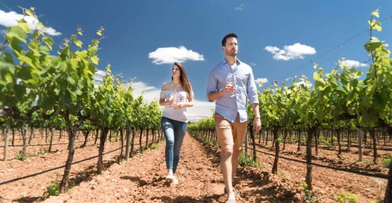 Discover the Essence of Ibizas rich wine culture - Final Thoughts