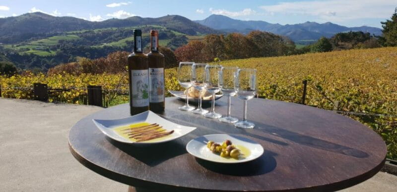 Discover the Essence of Txakoli Wine from San Sebastian - Who Will Love This Tour?