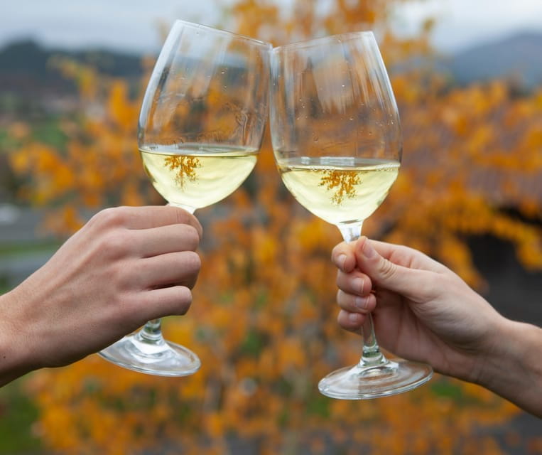 Discover the Essence of Txakoli Wine from San Sebastian - Logistics and Practical Tips