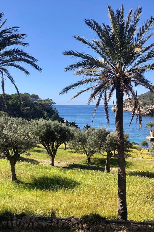 Discover the Island Dragonera by Kayak and on Foot - Inclusions