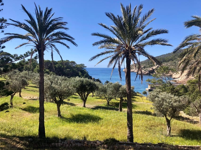 Discover the Island Dragonera by Kayak and on Foot - Things To Know