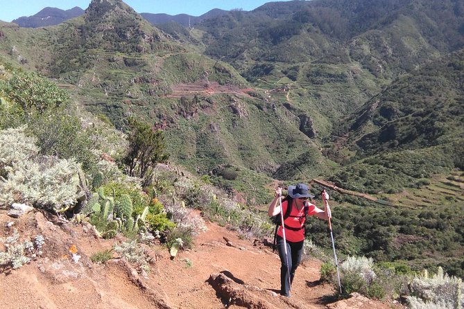 Discover the Lost Paradise of Anaga in Tenerife - Exploring Anagas Lush Ecosystem