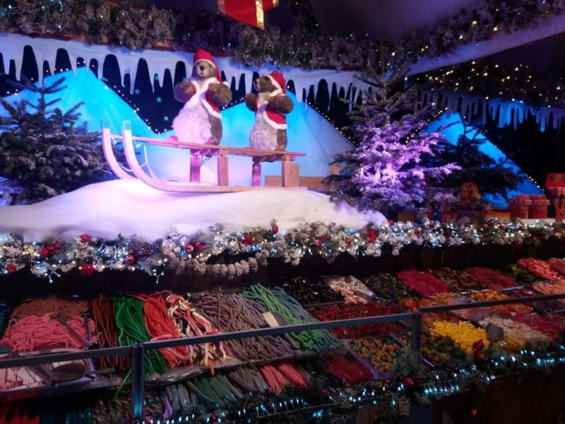 Discover the magic of Christmas in Brussels with a local guide - Discover the Christmas Charm of Brussels with a Local Guide