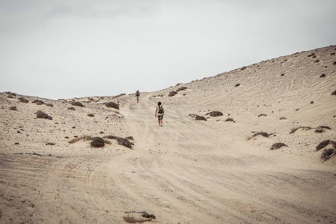 Discover the real Fuerteventura: extraordinary paths surrounded by nature - Discover the true beauty of Fuerteventura: a detailed look at the paths less traveled