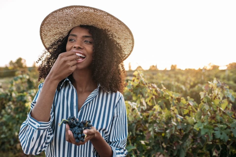 Discover the Secrets of Wine in the Algarve - Understanding Grape Cultivation