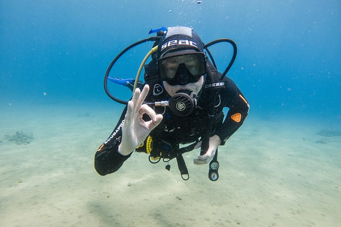 Discover the Underwater World of Lanzarote - Scheduled Start Time