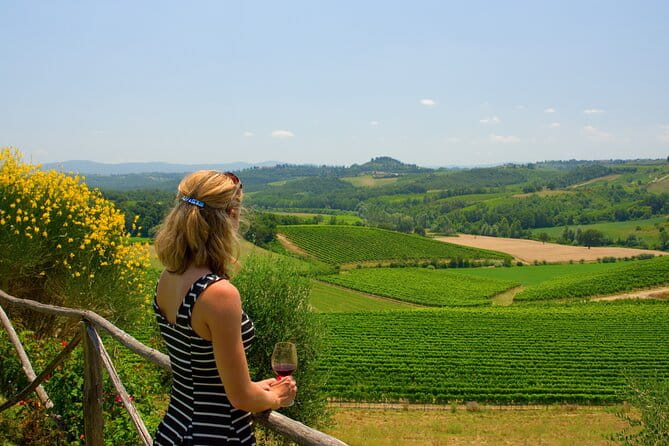 Discover the wine producers of Emilia Romagna - Key Points / Takeaways