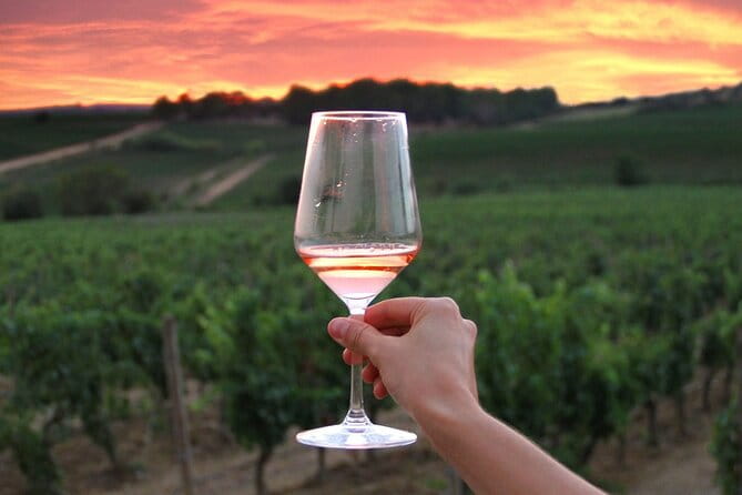 Discover the wine producers of Emilia Romagna - The Sum Up: Is It Worth It?