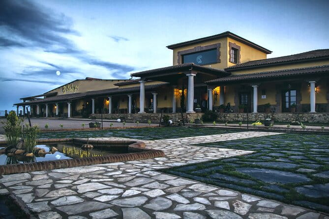 Discover the Winery and Taste fine Wine in Extremadura - Discover the Winery and Taste Fine Wine in Extremadura: An In-Depth Review