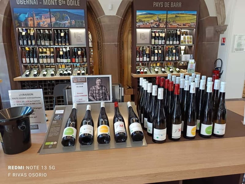 Discover the Wines of Alsace and a brief introduction to Strasbourg. - Exploring Strasbourg and Alsace Wines: A Balanced Journey