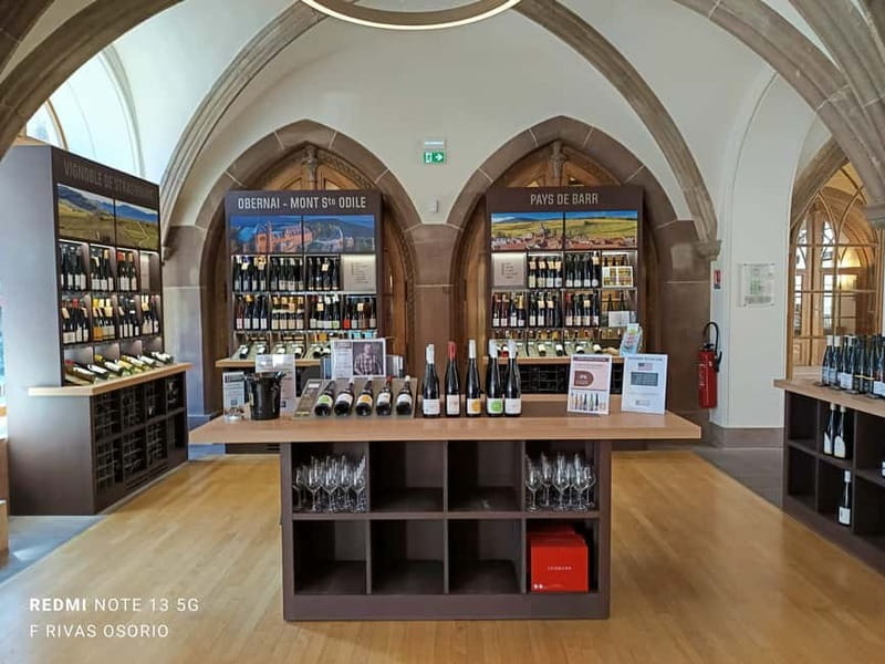 Discover the Wines of Alsace and a brief introduction to Strasbourg. - Who Is This Tour Best For?