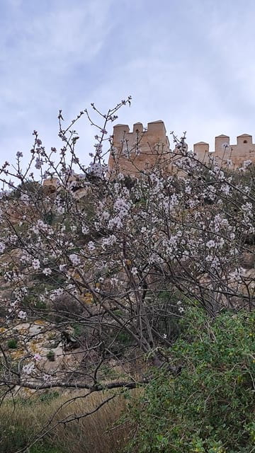 Discovering Almería: a Journey Through History and Culture - Things To Know