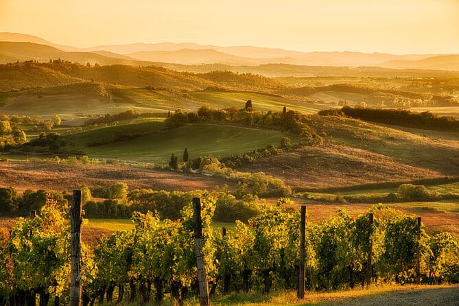 Discovering Chianti: Sunset eBike Tour and Dinner - The Itinerary in Detail: A Scenic Ride Through Tuscanys Heart