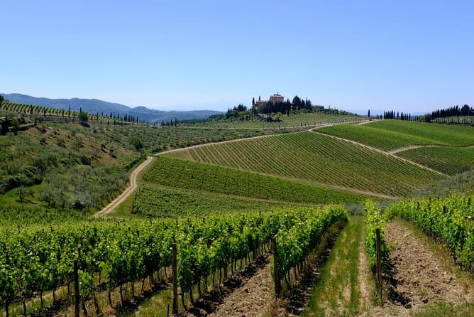 Discovering Chianti: Sunset eBike Tour and Dinner - Price and Logistics: What’s the Value?