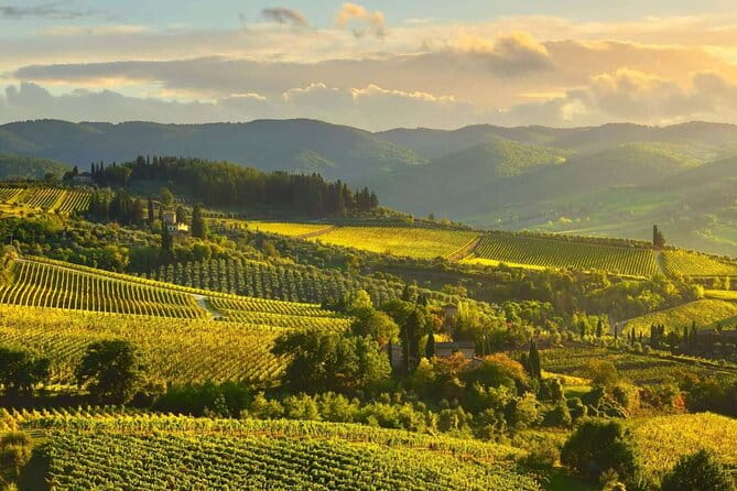 Discovering Chianti: Sunset eBike Tour and Dinner - Final Thoughts: Is This Tour for You?