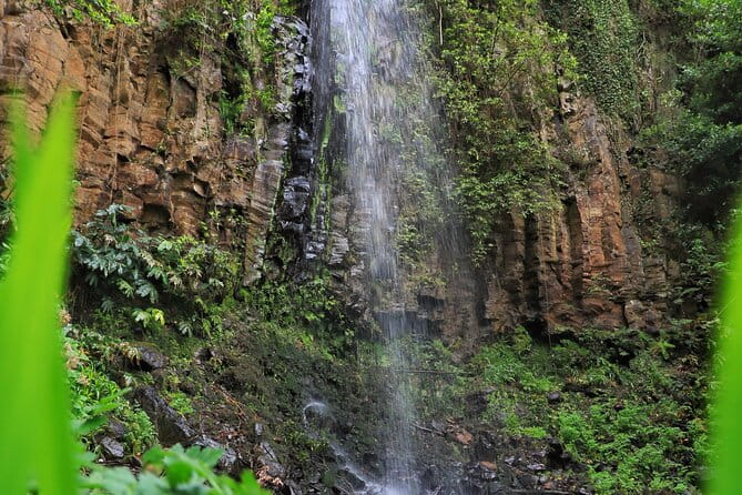 Discovering Northwest Madiera Shore Excursion w/ Harbour pickup - Final Thoughts: Is It Worth It?