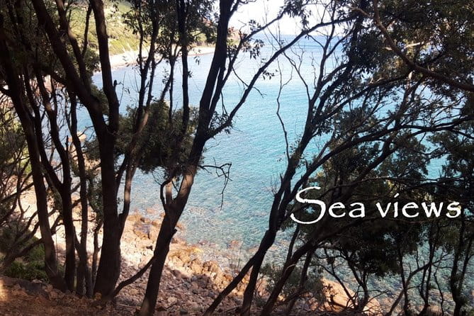 Discovering the Land of the Centenaries and swimming in the Natural Pools - Key points / Takeaways