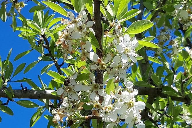 Discovering the Land of the Centenaries and swimming in the Natural Pools - Price and Value Analysis