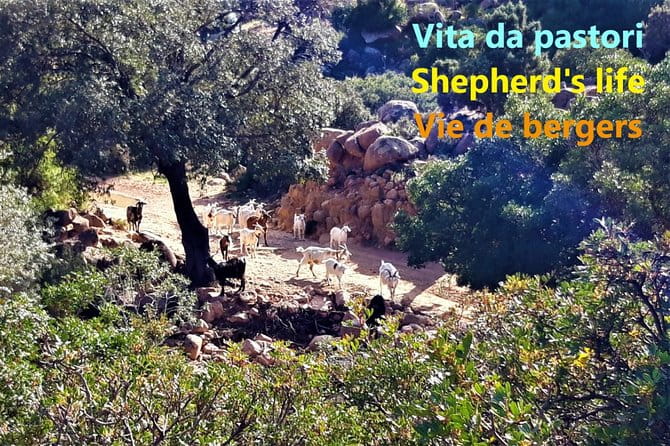 Discovering the Land of the Centenaries and swimming in the Natural Pools - FAQ