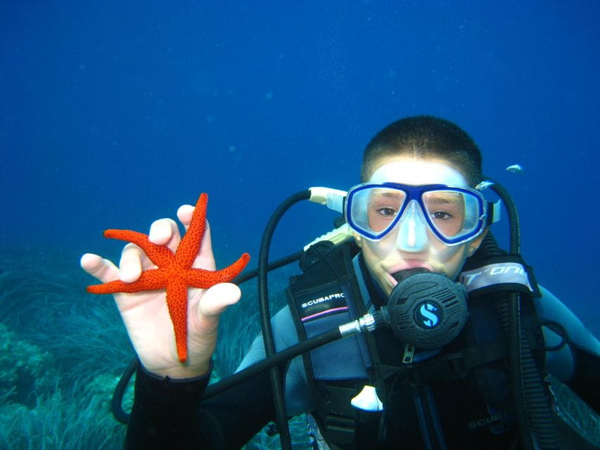 Discovery Dive - 2 Hour Uncertified Diver Introductory Dive - Pricing and Cancellation