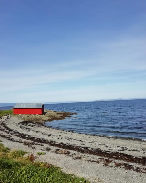 Discovery hike along the Trondheimsfjord - Discovering Trondheim Fjord’s Charm on a Guided Hike