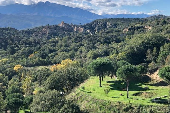 Discovery "les Orgues and truffles" - Key Points