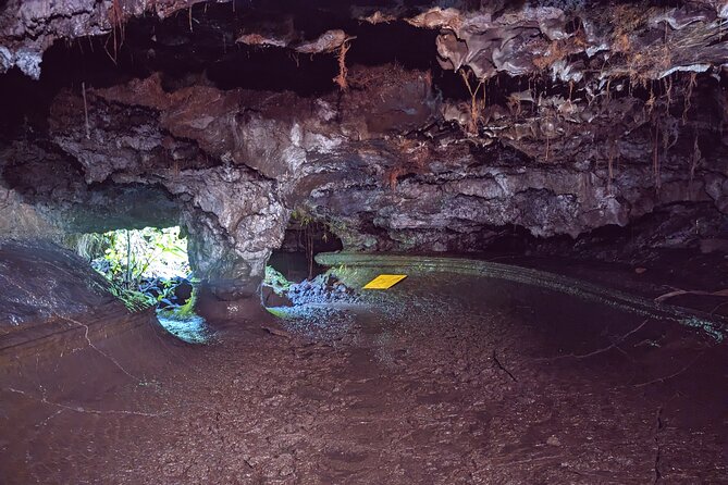 Discovery of the Lava Tubes 2004 of Piton De La Fournaise - Age and Accessibility Requirements
