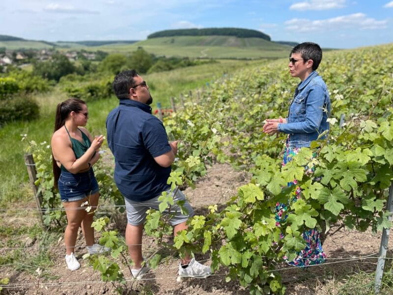 Discovery Tour Reims and Epernay - Final Thoughts