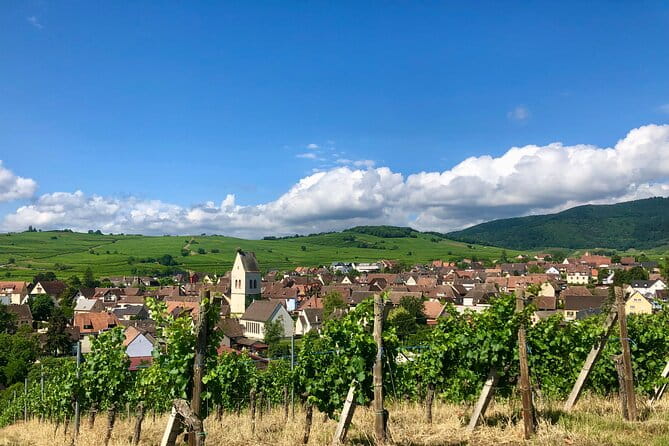 Discovery Vineyard - Who Should Consider This?