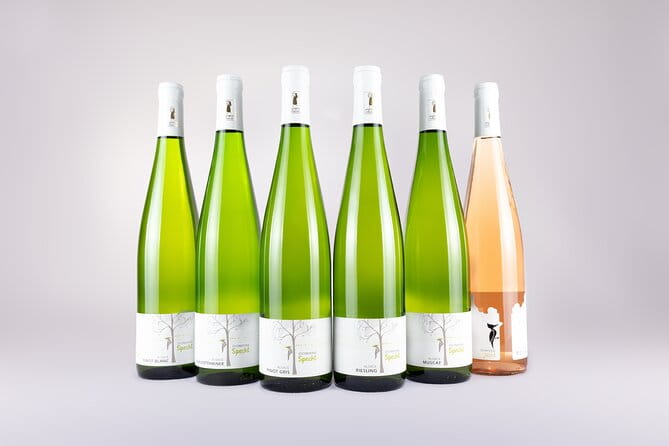 Discovery Vineyard - Final Verdict