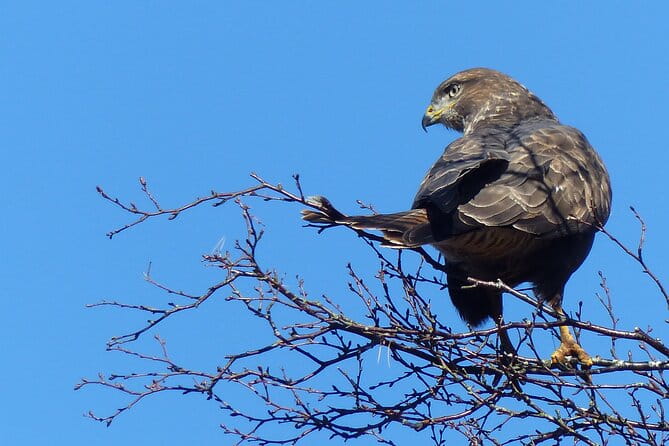 Discovery Wildlife Safari - The Sum Up: Who Is This Safari Perfect For?