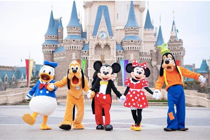 Disneyland/Sea Ticket & Private Morning Ride From Hotel in Tokyo! - Accessibility and Participation