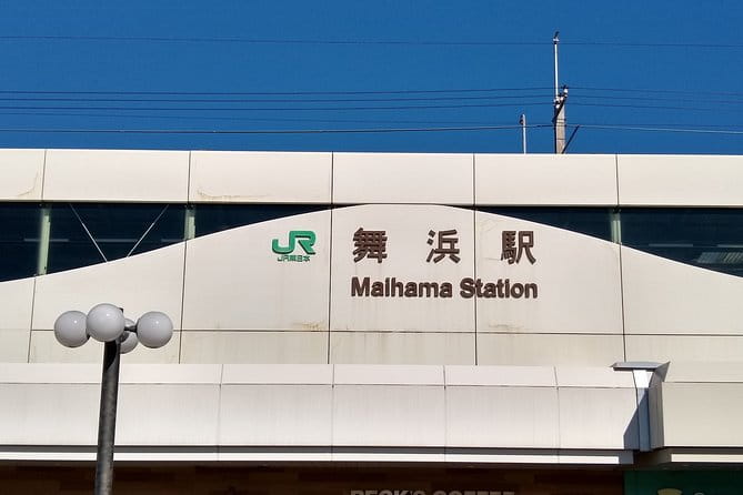 Disneyland/Sea Ticket & Private Morning Ride From Hotel in Tokyo! - Navigating the Parks