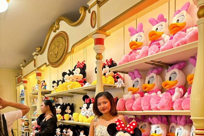 Disneyland Theme Park Tokyo Admission Ticket - What to Expect at Disneyland Tokyo