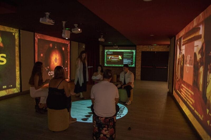 Dive In and Discover: Flamenco in an Interactive Journey - Practical Tips for Your Visit