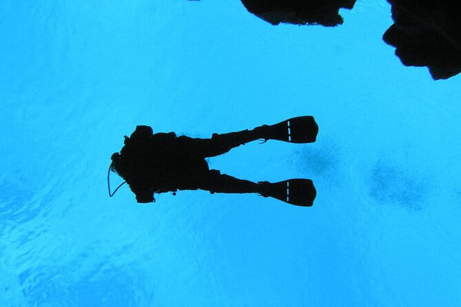 Dive the Divide: Silfra Fissure Scuba Tour | Meet at Thingvellir - FAQs