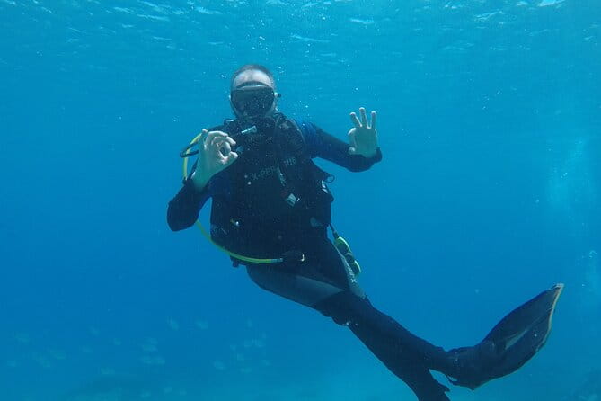 Dive The Rock (Scuba Diving Experience in Protaras) - The Bottom Line: Is It Worth It?