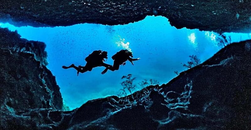 DiveSnap Underwater Sports Thrills:Lantern Point & P31 Wreck - Key Points / Takeaways