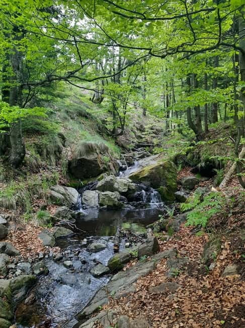 Divibare: Follow the Sun Hiking Tour - FAQ