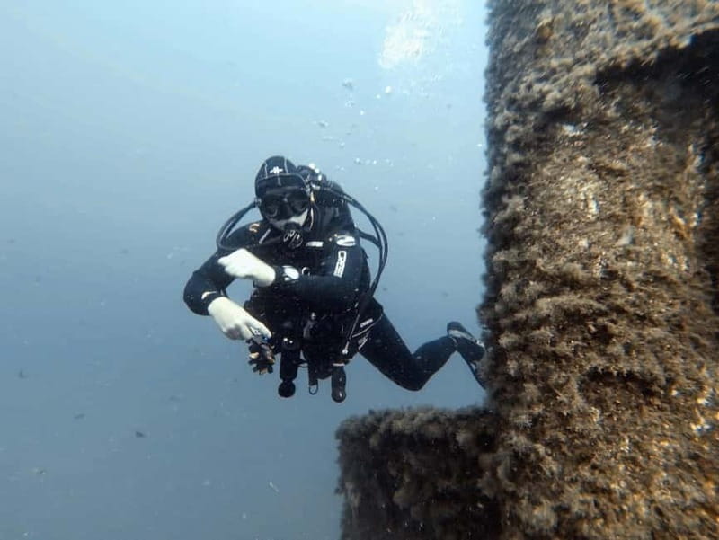 Diving - Why this experience is worth considering