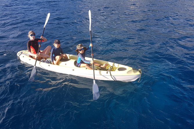 Diving and / or Snorkeling Day From a Catamaran - Scuba Diving Option