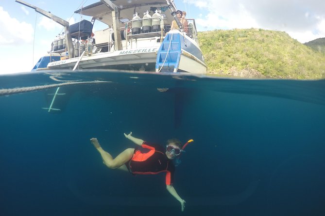 Diving and / or Snorkeling Day From a Catamaran - Group Size and Attention