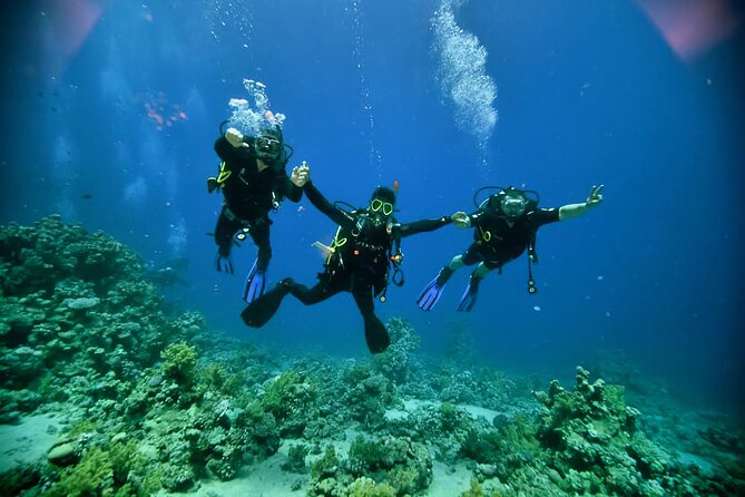 Diving And Snorkeling To Ras Mohamed And White Island By VIP Boat - Key Points